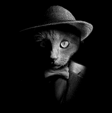 Load image into Gallery viewer, Dapper Cat Tee